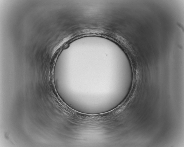 X0000102011165200807180904