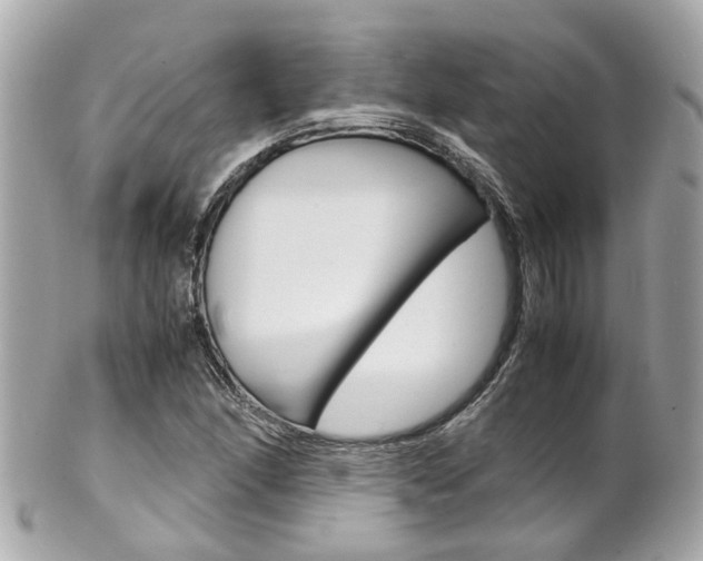 X0000102011166200807180904