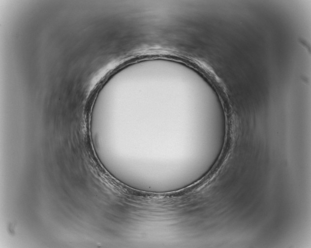 X0000102011167200807180904