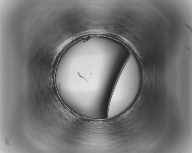 X0000102011168200807180904