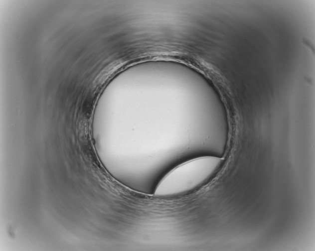 X0000102011169200807180904