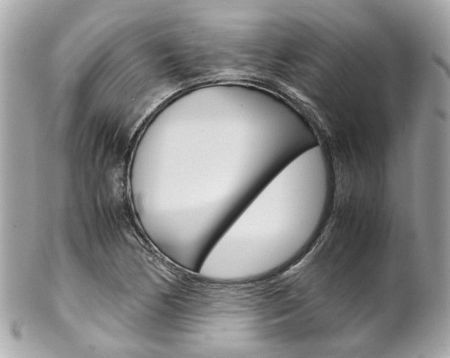 X0000102011170200807180904