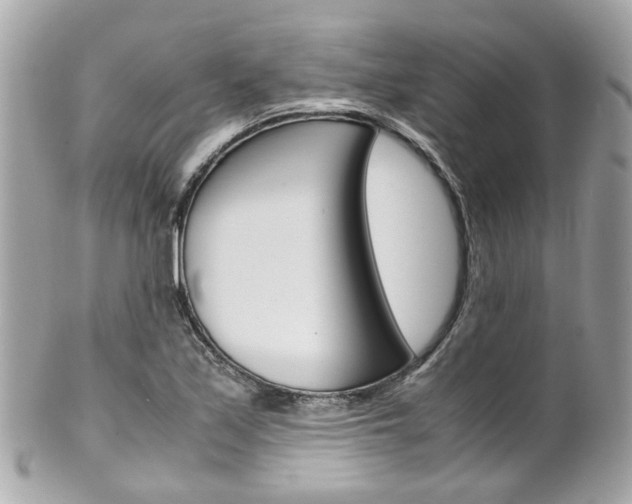 X0000102011171200807180904