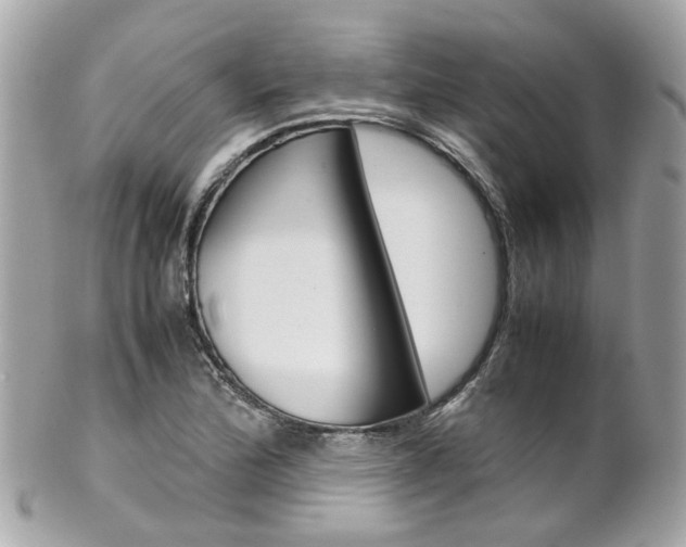 X0000102011172200807180904