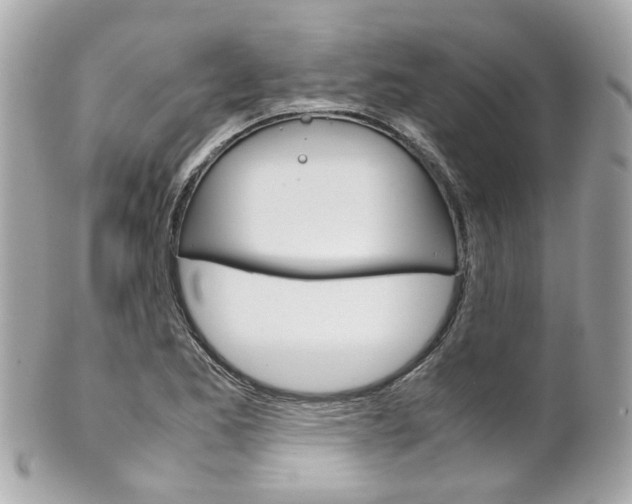 X0000102011173200807180904