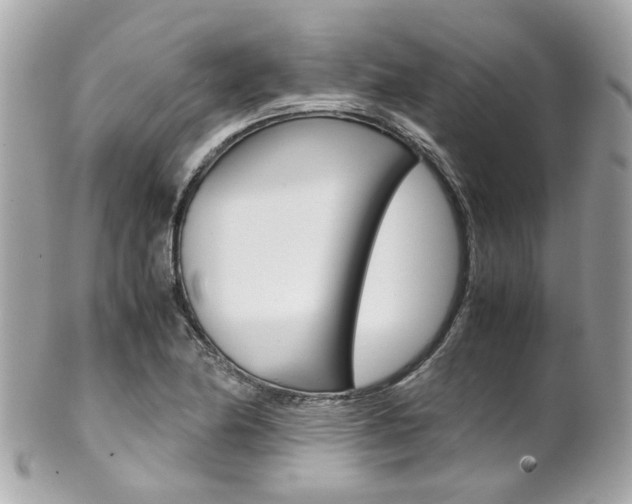 X0000102011174200807180904