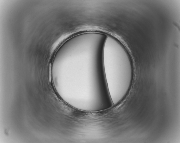 X0000102011175200807180904