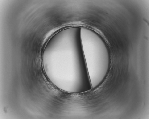 X0000102011176200807180904