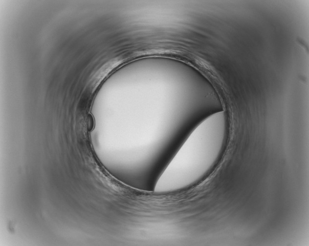 X0000102011177200807180904