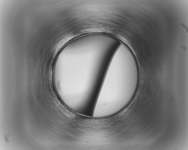 X0000102011179200807180904