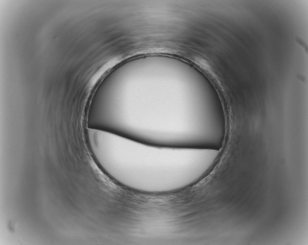 X0000102011181200807180904