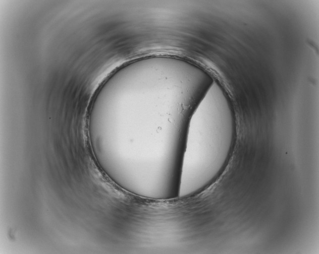 X0000102011182200807180904