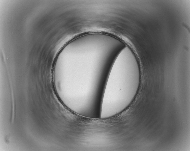 X0000102011183200807180904
