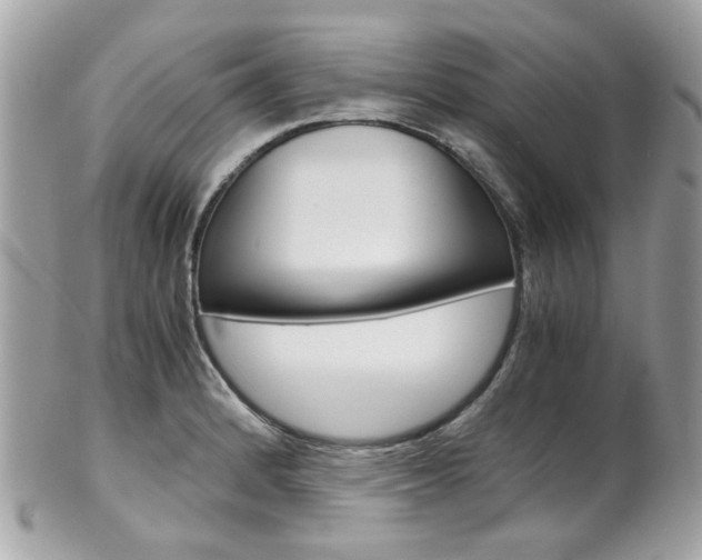 X0000102011184200807180904