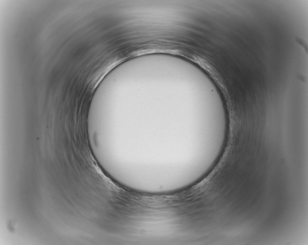 X0000102011185200807180904