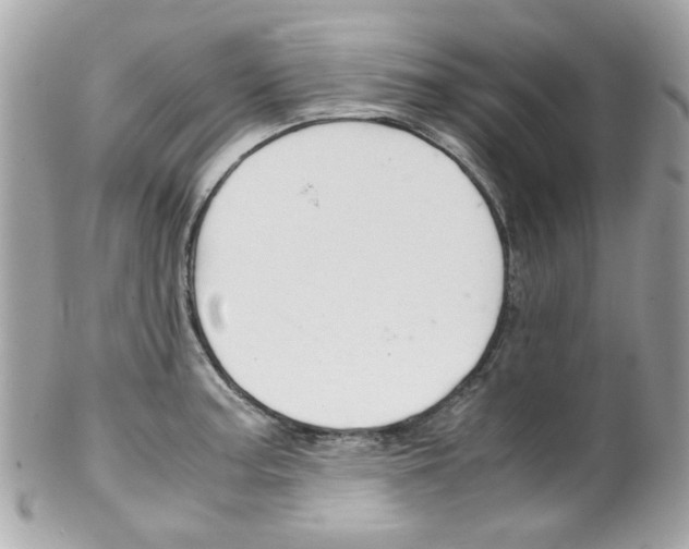 X0000102011187200807180904