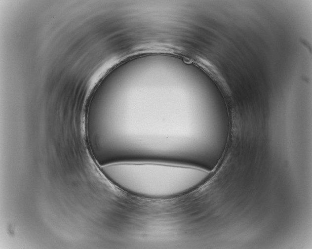 X0000102011188200807180904