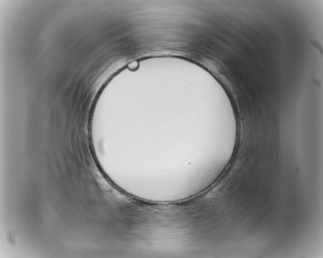 X0000102011189200807180904