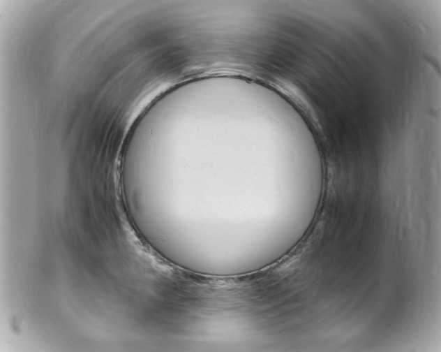 X0000102011190200807180904