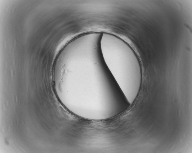 X0000102011191200807180904
