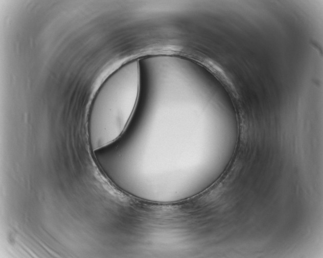 X0000102011192200807180904