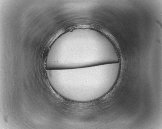 X0000102011193200807180904