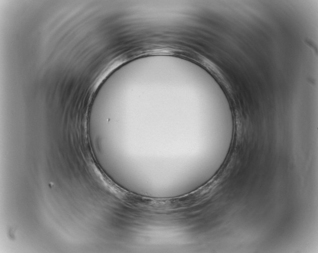 X0000102011194200807180904