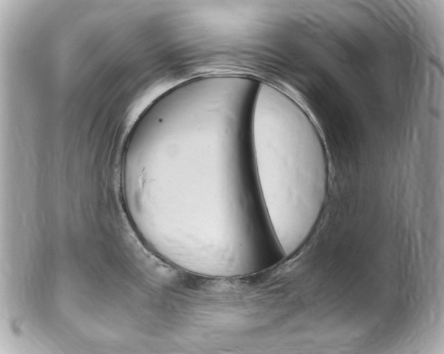 X0000102011195200807180904