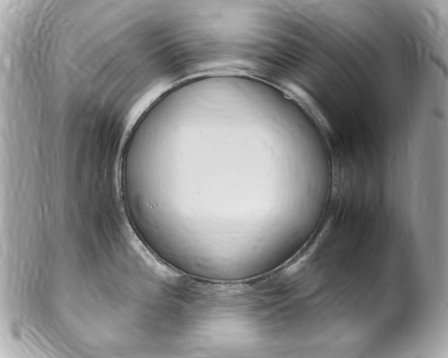X0000102011196200807180904