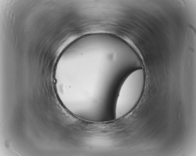 X0000102011197200807180904