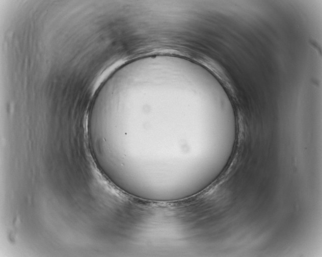 X0000102011198200807180904