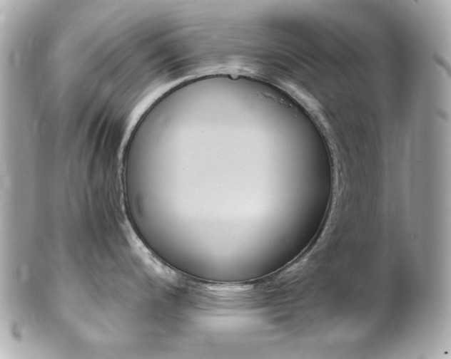 X0000102011200200807180904