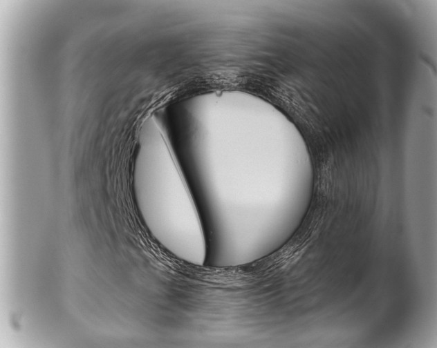 X0000102011201200807180903