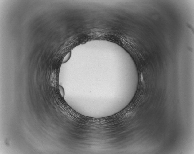 X0000102011203200807180903