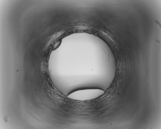 X0000102011207200807180903