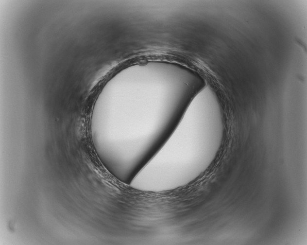 X0000102011208200807180903