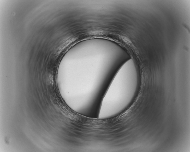X0000102011209200807180903