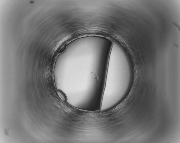 X0000102011210200807180903