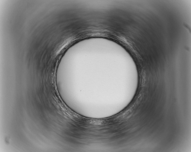 X0000102011211200807180903