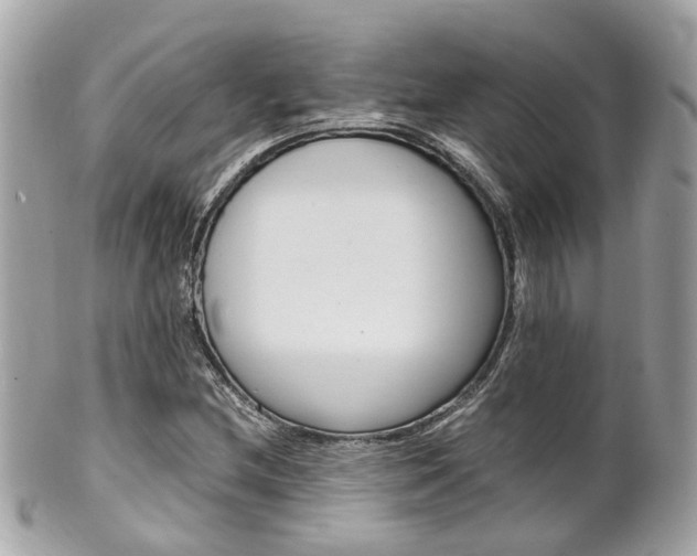 X0000102011212200807180903