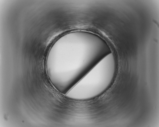 X0000102011214200807180903