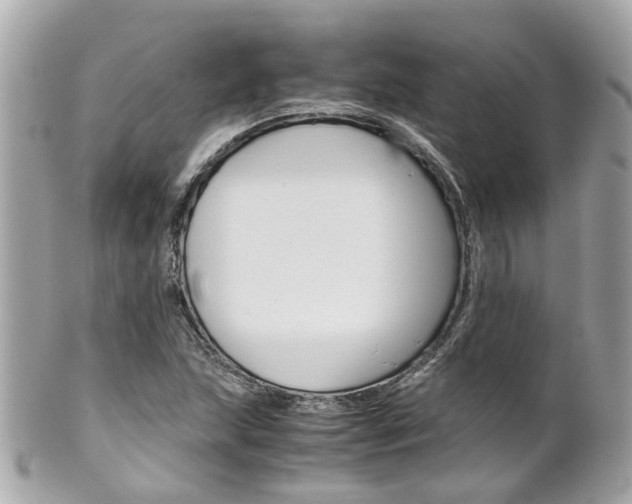 X0000102011215200807180903