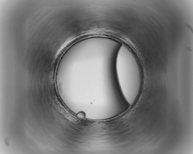 X0000102011216200807180903