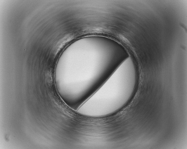 X0000102011218200807180903
