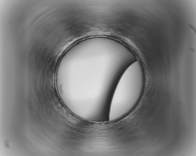 X0000102011220200807180904