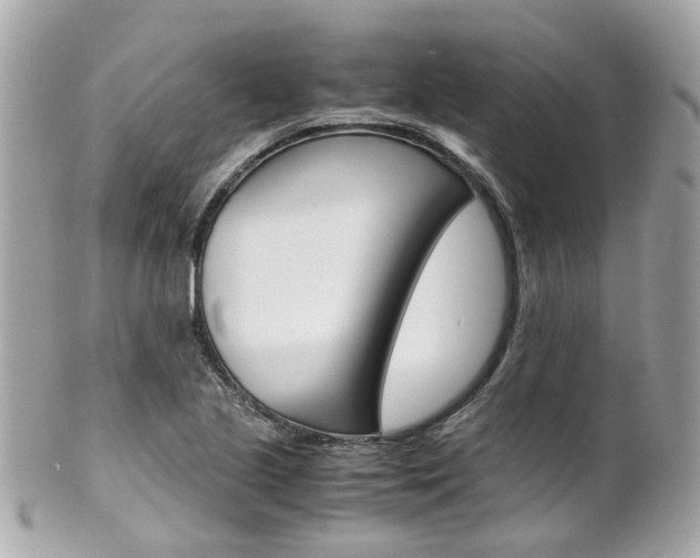 X0000102011221200807180904