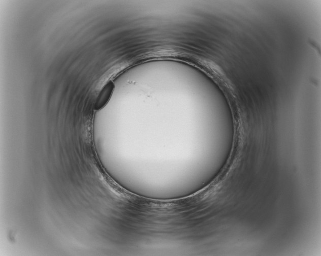 X0000102011225200807180904