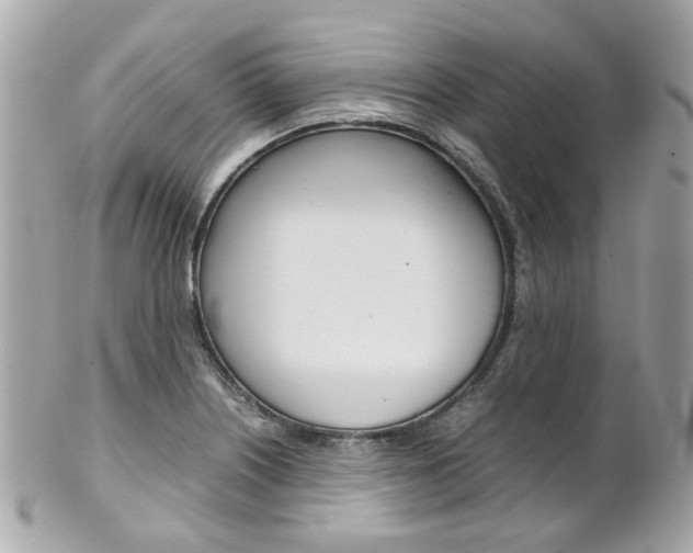 X0000102011226200807180904