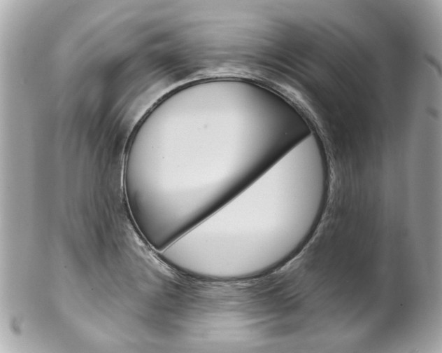X0000102011228200807180904