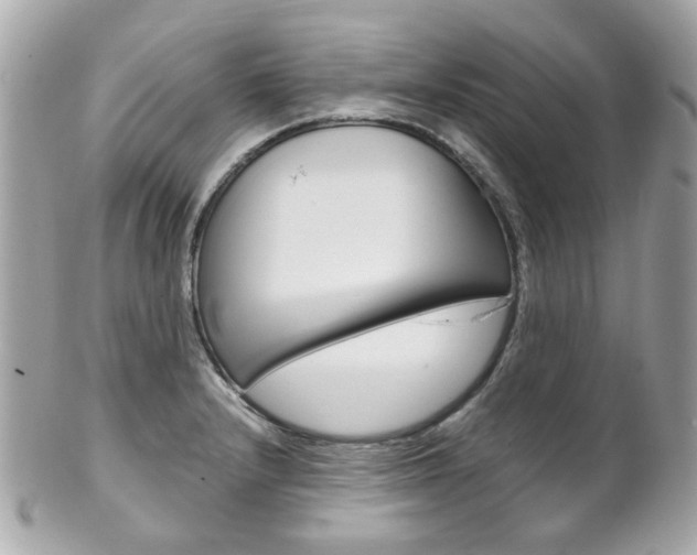 X0000102011232200807180904